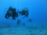 Oahu scuba 11