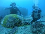 Oahu scuba 01