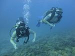 Hawaii Scuba divng 13