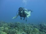 Hawaii Scuba divng 14