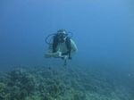 Hawaii Scuba divng 15