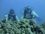 Hawaii Scuba divng 17