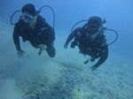 Hawaii Scuba divng 10