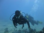 Hawaii Scuba divng 13