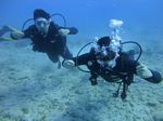 Hawaii Scuba divng 15