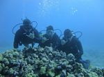 Hawaii Scuba divng 16