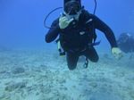 Hawaii Scuba divng 28