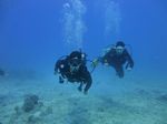 Hawaii Scuba divng 31