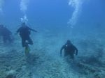 Hawaii Scuba divng 33