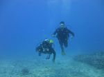 Hawaii Scuba divng 35