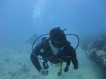 Hawaii Scuba divng 37