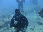 Hawaii Scuba divng 39