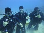 Hawaii Scuba divng 47