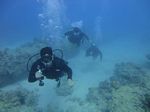 Hawaii Scuba divng 48