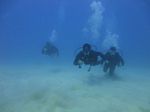 Hawaii Scuba divng 49