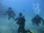 Hawaii Scuba divng 52