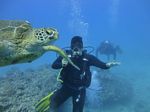 Hawaii Scuba divng 57