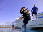 Hawaii Scuba divng 05