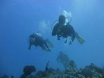 Hawaii Scuba divng 64