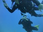 Hawaii Scuba divng 65