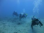 Hawaii Scuba divng 68