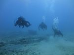 Hawaii Scuba divng 69