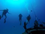 Hawaii Scuba divng 12