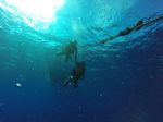 Hawaii Scuba divng 01