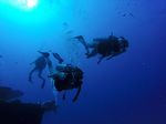 Hawaii Scuba divng 21