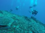 Hawaii Scuba divng 25