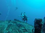 Hawaii Scuba divng 27