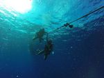 Hawaii Scuba divng 02