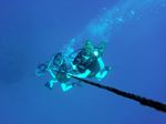 Hawaii Scuba divng 34