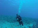 Hawaii Scuba divng 37