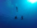 Hawaii Scuba divng 39