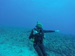 Hawaii Scuba divng 41