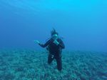 Hawaii Scuba divng 42