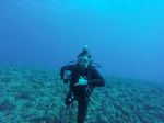 Hawaii Scuba divng 44