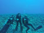 Hawaii Scuba divng 47