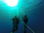 Hawaii Scuba divng 04