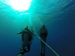 Hawaii Scuba divng 04