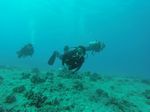 Hawaii Scuba divng 51