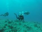 Hawaii Scuba divng 51