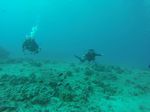 Hawaii Scuba divng 53