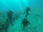 Hawaii Scuba divng 59