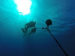 Hawaii Scuba divng 05