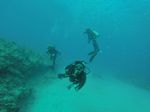 Hawaii Scuba divng 64