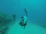 Hawaii Scuba divng 65