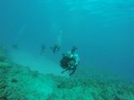 Hawaii Scuba divng 66