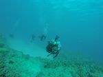 Hawaii Scuba divng 66